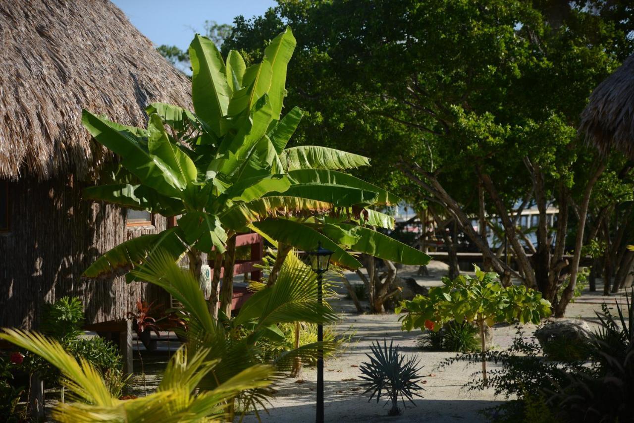 El Ben Cabanas Caye Caulker Luaran gambar